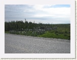 Roadside Garden Plots 3 * 2592 x 1944 * (1.58MB)